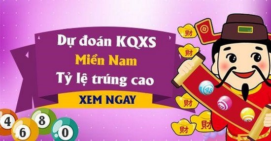 soi cau hcm 1 Hội soi cầu HCM bách phát bách trúng, bạn đã biết chưa?